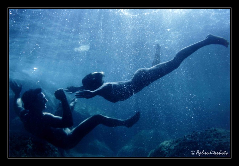 049 La rencontre aquatique